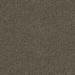 Carpet Crestview 5565 Enigma