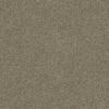 Carpet Crestview 5576 Leather