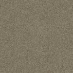 Carpet Crestview 5576 Leather