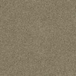 Carpet Crestview 7730 Zircon