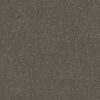 Carpet Elegant Reflections 182 Cargo Stipple