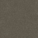 Carpet Elegant Reflections 182 Cargo Stipple