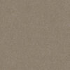 Carpet Elegant Reflections 550 Warm Beige