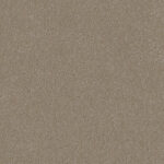 Carpet Elegant Reflections 550 Warm Beige