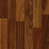 Spotted Gum 43.tif