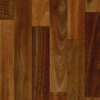 Spotted Gum 65.tif