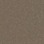 Carpet New Sunrise Clay Swatch Godfrey Hirst Carpet