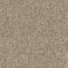 Carpet Rocky Point Fossil Swatch Godfrey Hirst