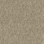 Carpet Rocky Point Fossil Swatch Godfrey Hirst