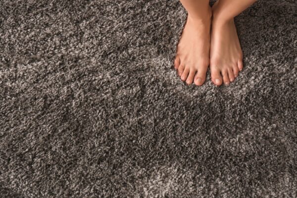 soft comfortable carpet 222161065