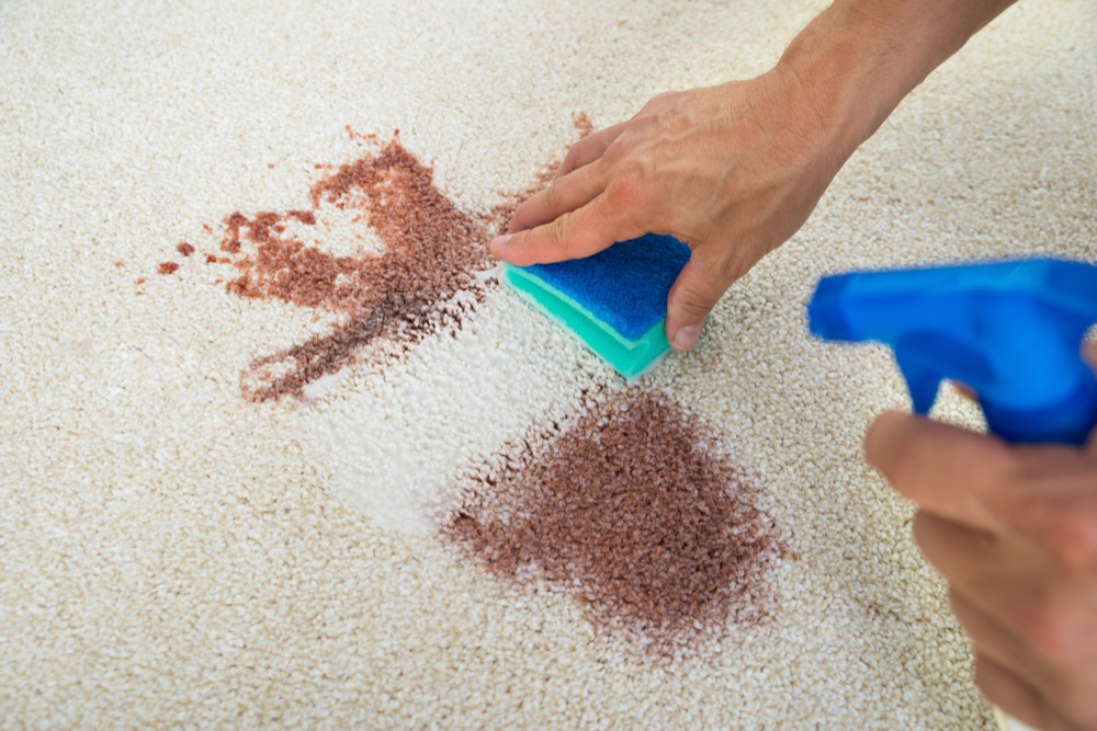 man cleaning stain on carpet with sponge