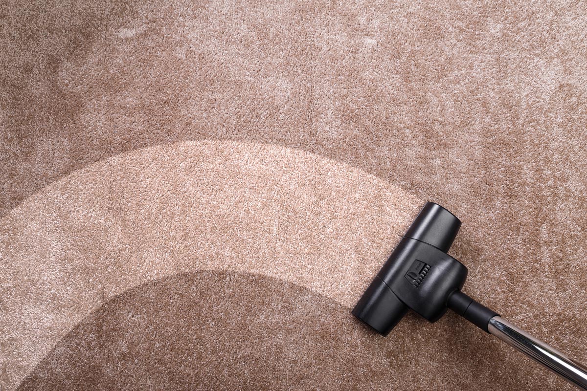 carpet vacuum k 142453171